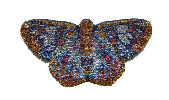 Virginia Fleck: Reclaimed Revelations