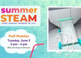 Summer STEAM