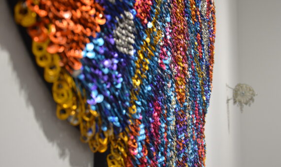 Virginia Fleck: Reclaimed Revelations